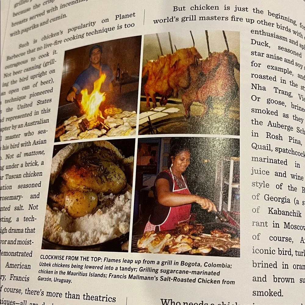Steven Raichlen's Planet Barbecue Cookbook